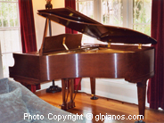 Fischer Baby Grand 1931