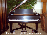 Steinway B Grand 1893