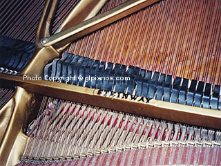 Steinway B Grand 1893