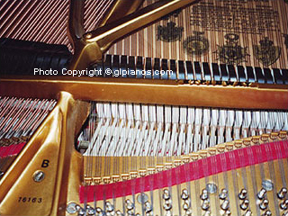 Steinway B Grand 1893