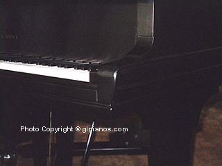 Steinway B Grand 1893