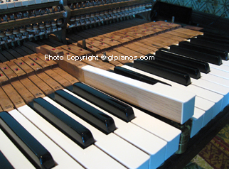 Steinway B Grand 1893