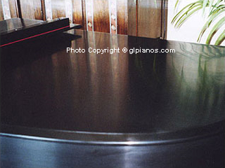 Steinway B Grand 1893