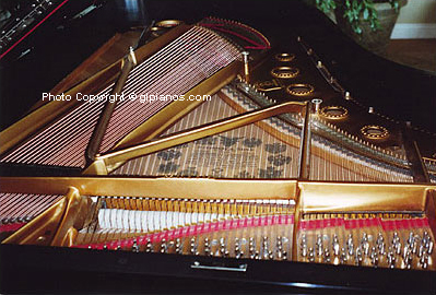 Steinway B Grand 1893