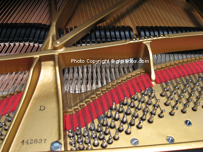 Steinway D Concert Grand 1975