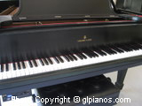 Restored Steinway O Parlor Grand (1916)